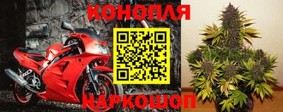 гашик Краснодар
