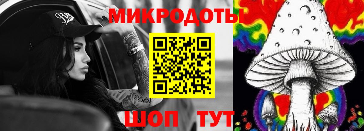 Галлюциногенные грибы Psilocybe  Вход с VPN  Галлюциногенные грибы мухоморы  Фурманов 