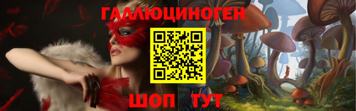 Псилоцибиновые грибы прущие грибы Фурманов